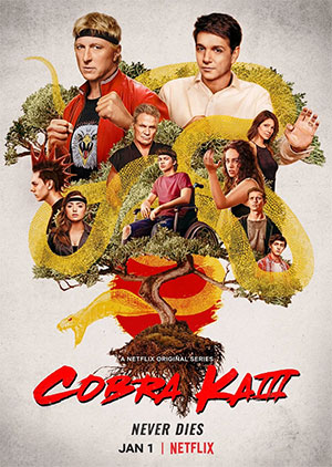 Cobra Kai season 3