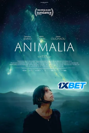 Animalia